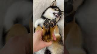 MANYU SPA DAY💅🏻