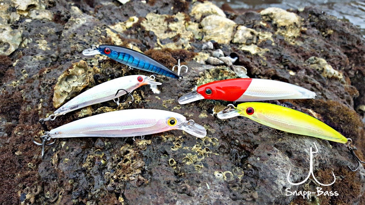 Como Pescar Con Minnow // Jerkbait // Media Agua - Pesca De Pargos De Orilla