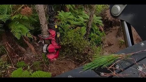 Waratah HTH625C 360 Experience | Exterior View