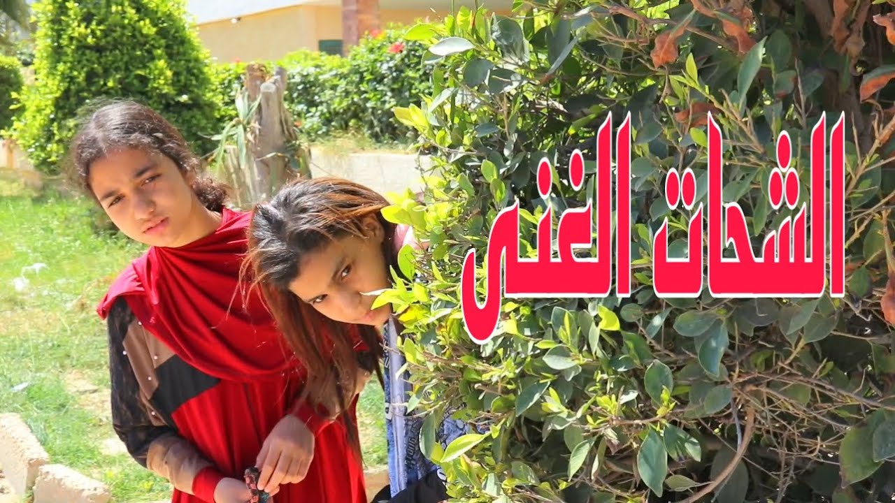 بنت صغيره تكشف حقيقة الشحات الغنى !!!