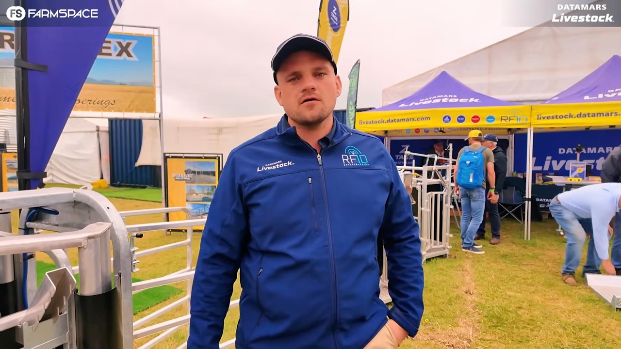 StudMaster: weeg en sorteer 400 - 500 skape per uur | Datamars Livestock