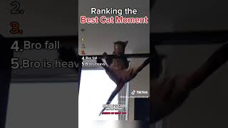 Ranking the Best Cat Moment OAT ❤️ 🐈 #cats #comedy #funny #ranking #catvideos #viral #shorts