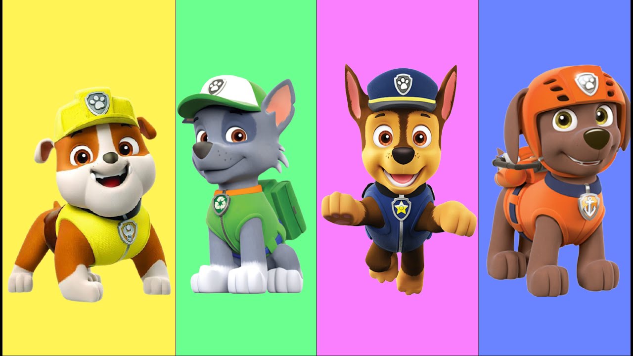 Wrong Head Paw Patrol - puzzle - chase - zuma - everest - YouTube