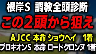 【根岸S 2026】根岸S 出走馬の調教をはじめ全頭診断！ ウェイワードアクト インユアパレス エンペラーワケアの調教は？