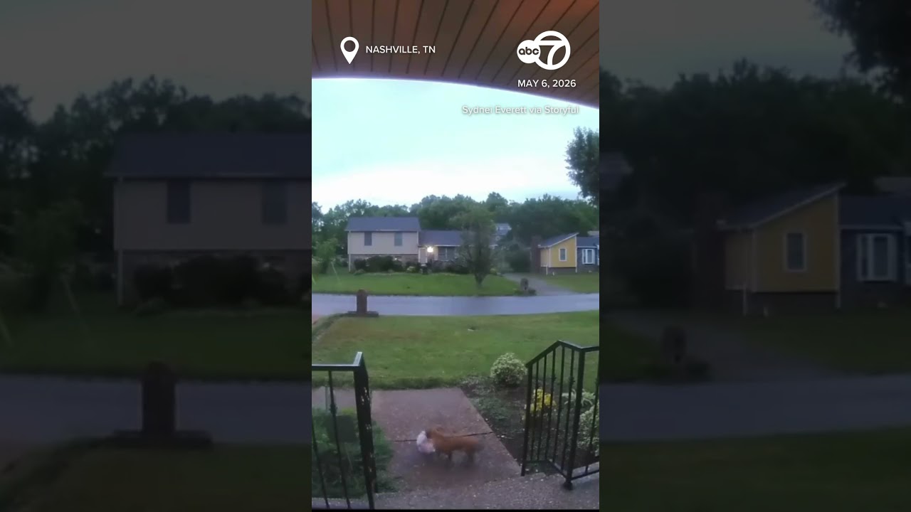 Tiny dog steals food delivery from front porch