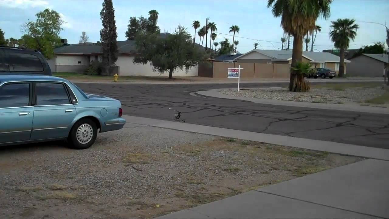 Blade NanoCPx brushless2