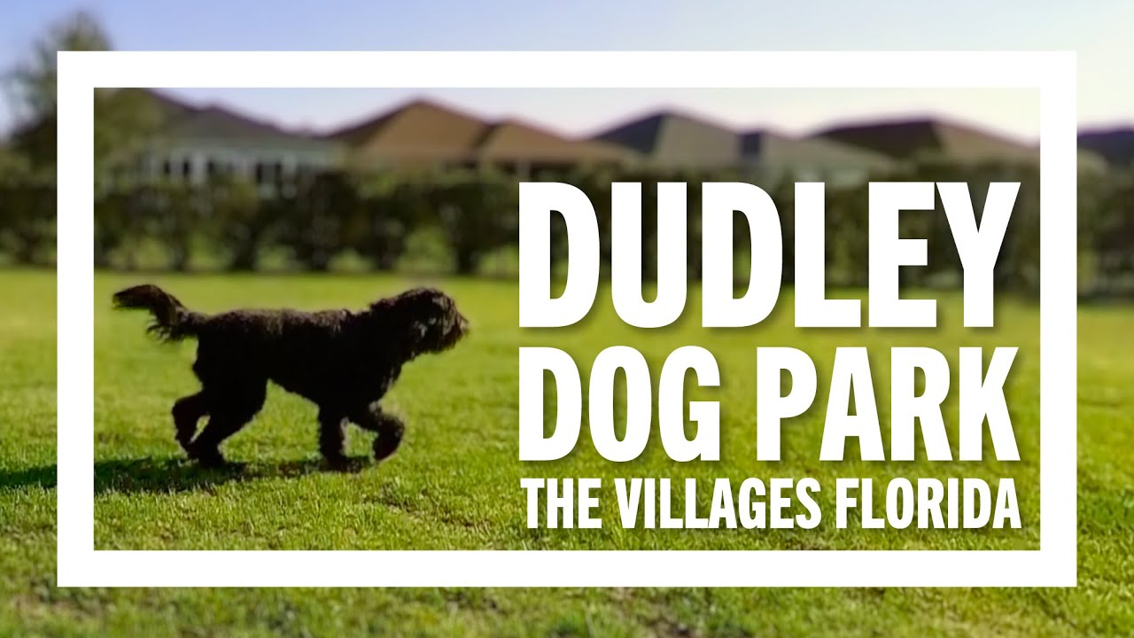 🐾 WOW this is a Big Dog Park! Gridley Visits Dudley Canine Park | The Villages Florida