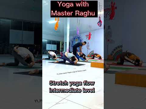 Yoga flow by master Raghu yoga