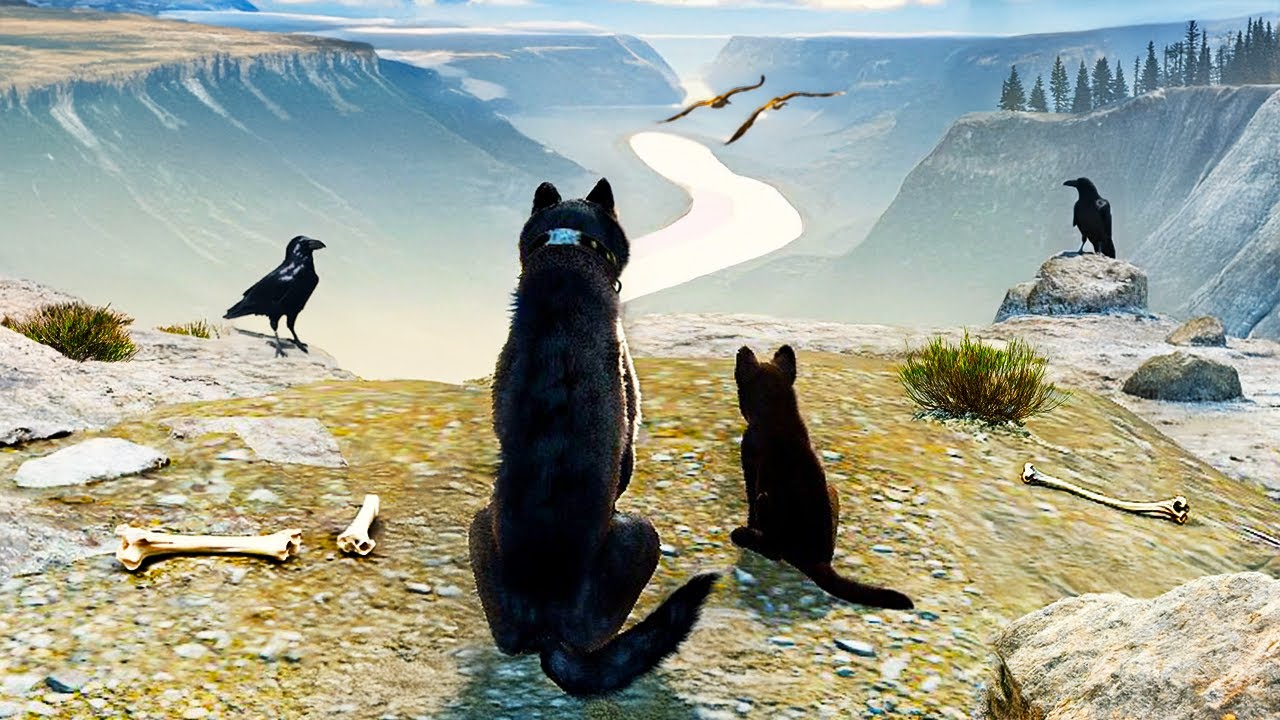 SURVIVING And Raising A Wolf Pack in the HARSHEST Environment Possible..