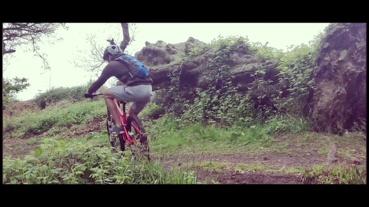 Raincliff forest DOwnhill bike and DOLBY Forest summer 2019