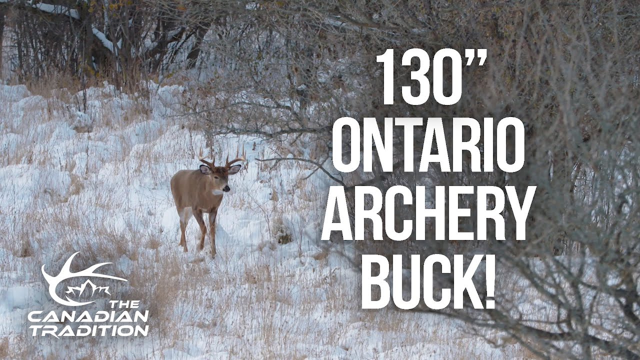 130” Ontario Archery Buck YouTube