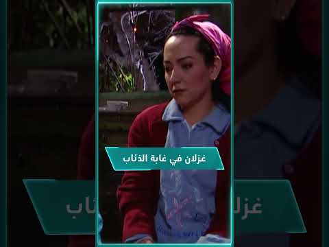 فيديو: هل سرير الغزلان في غابة الأرز؟