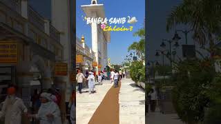 Waheguru Simran &amp; Peace 🕊️ | Bangla Sahib #shortsfeed @jackjjsafar #waheguruji