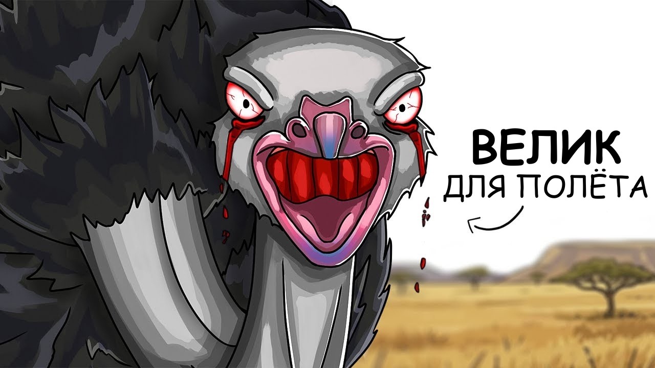 Ты – Страус (И ЭТО ВСЯ ТВОЯ ЖИЗНЬ)