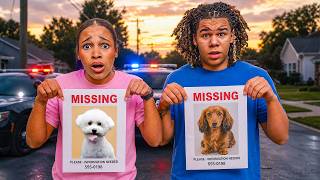 OUR DOGS ARE MISSING.. 💔