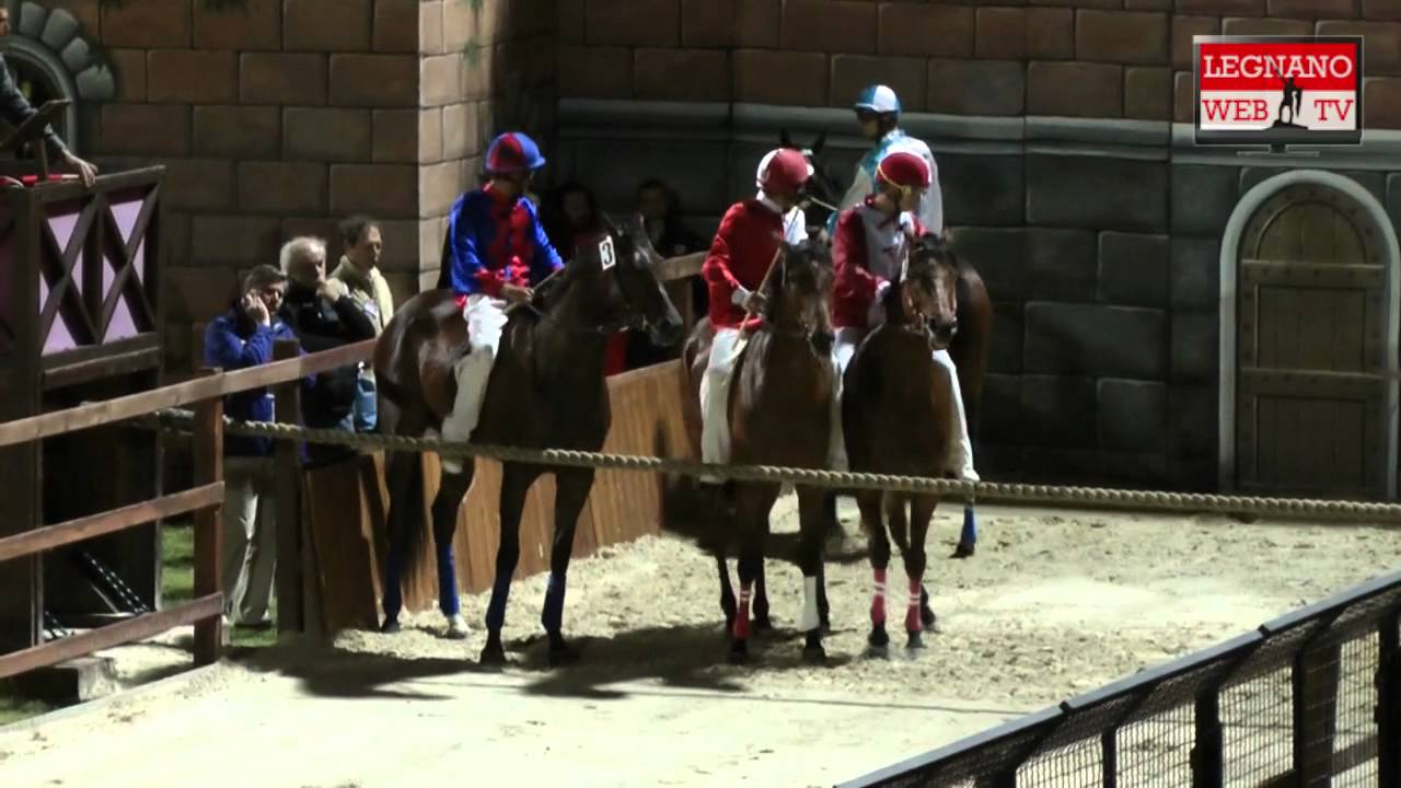 Provaccia 2011 - Le due batterie e la finale - HD