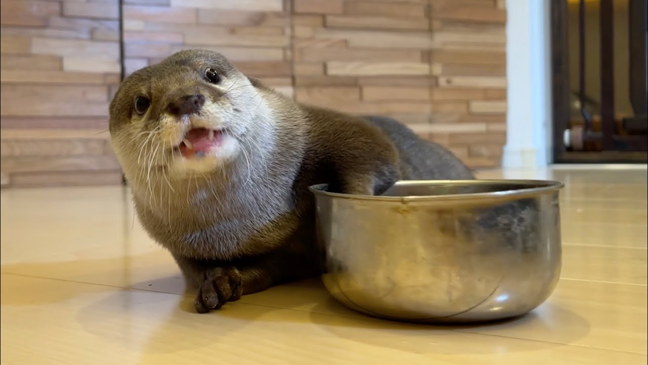 Sale 10 Off カワウソ様 ボディーバッグ