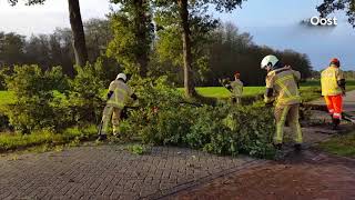 Harde Wind Veroorzaakt Overlast In Overijssel