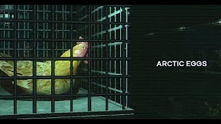 Could you Fry an egg on Mount Everest? [ Artic Eggs ] [ Full Game ] screenshot 5