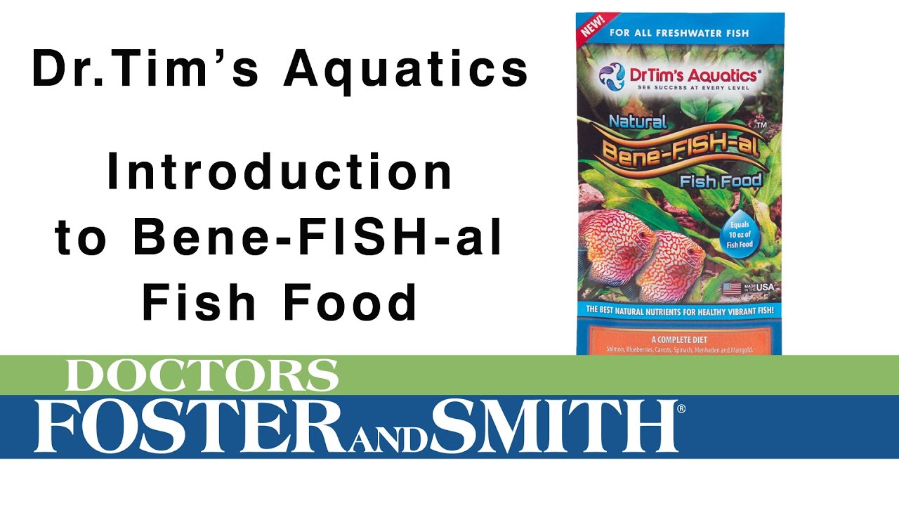 DrTim's Aquatics BeneFishal Fish Food YouTube