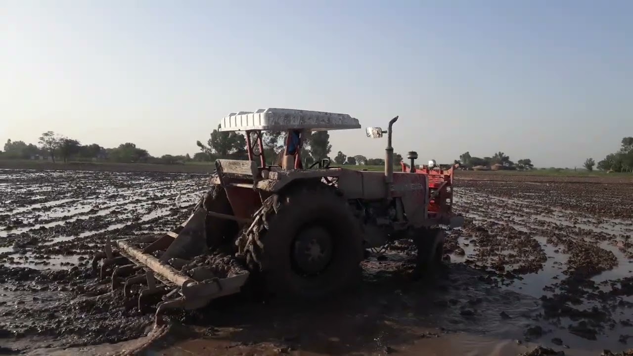 HANJRA AGRI farm Vehari $$$265 special work in rice felds