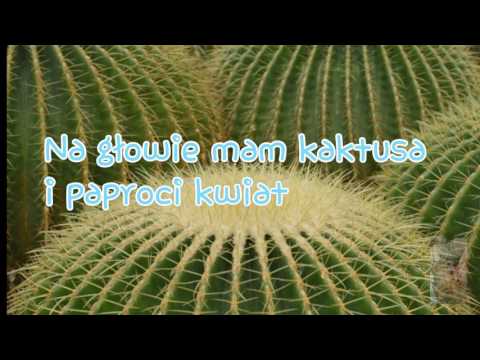 Bovska-Kaktus|TEKST