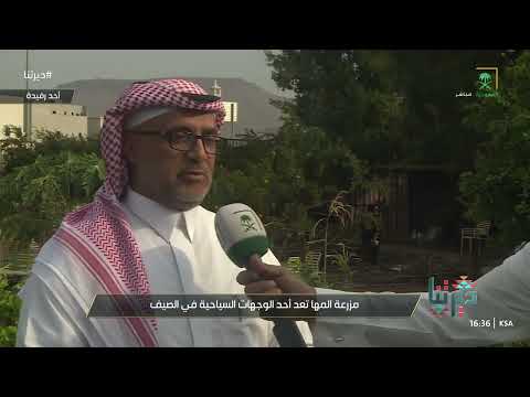 مزرعة المها في أبها وجهة صيفية تجمع بين السياحة الريفية وجمال الطبيعة