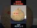 【古代史News】片見鳥遺跡「土鈴」(古墳時代) #Shorts