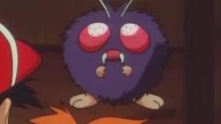 Venonat #048