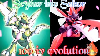 Evolving My 100 iv Scyther into Scizor