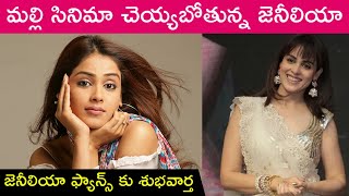 Actress Genelia To Make Comeback In South Film Industry | Genelia D'souza
