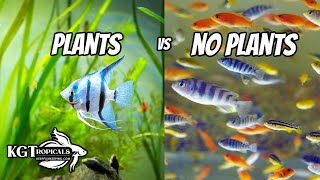 Are Aquariums With Plants BETTER Or Worse For You? Tank Talk Live!!