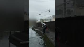ビッグベイト)静かに着水、からの…一撃
