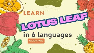 Learn the word  Lotus leaf in 6 Languages— Effortless & Fast! Lotus In Different Languages