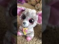 Anneliese & Drokia's Beanie Boo Tales, Episode 1