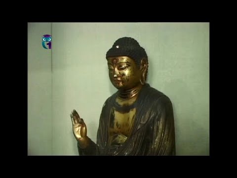 Видео: Музей на японския реализъм