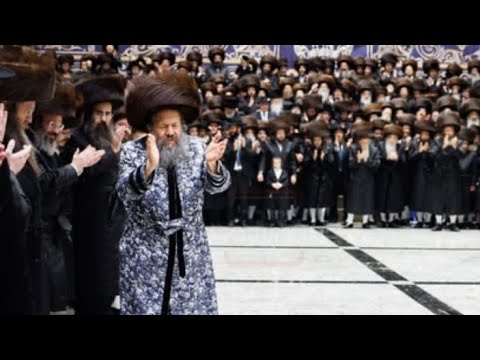 שמחת בית באבוב 45. תיעוד מיוחד משמחת החתונה לנכדת כ״ק האדמו״ר שהתקיים בהיכל ביהמ״ד החדש של החסידות