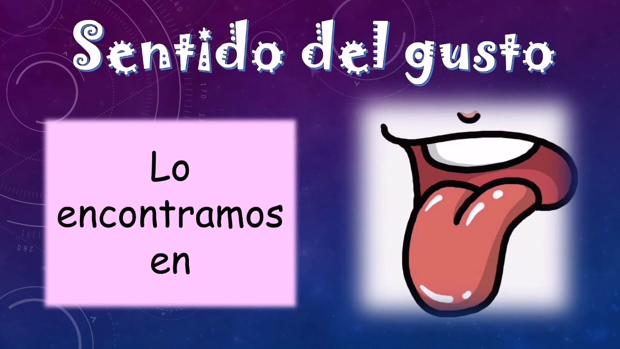SENTIDO DEL GUSTO - YouTube