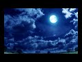 Rie Fu - Tsukiakari (pt-BR+JP lyrics) Darker Than black SS1 Ending