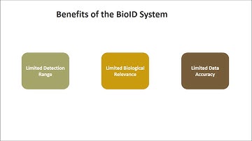 BioID Video