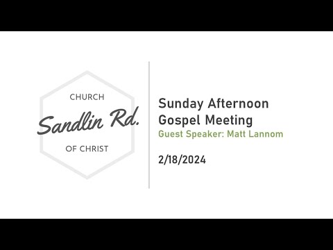 Video preview