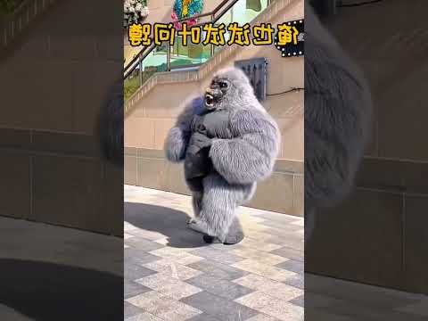 باندا ضاحكه اكسبلور باند Funny بندي Cute ضحك ترند اهميه اعتني 