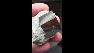 Pyrite Cube in matrix from Spain