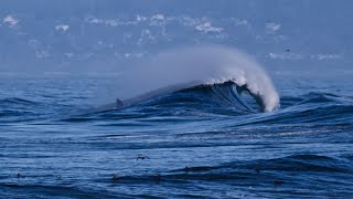 Six foot waves off Moss Landing State Beach