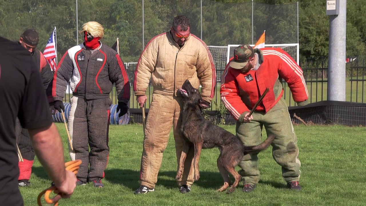 LeRay & Kilo 2016 PSA 3 National 2nd Place