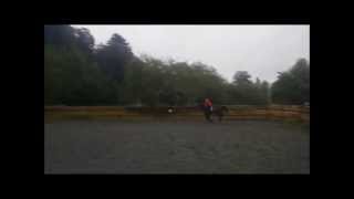 Download Lagu IRICH LADY 2014 MP3