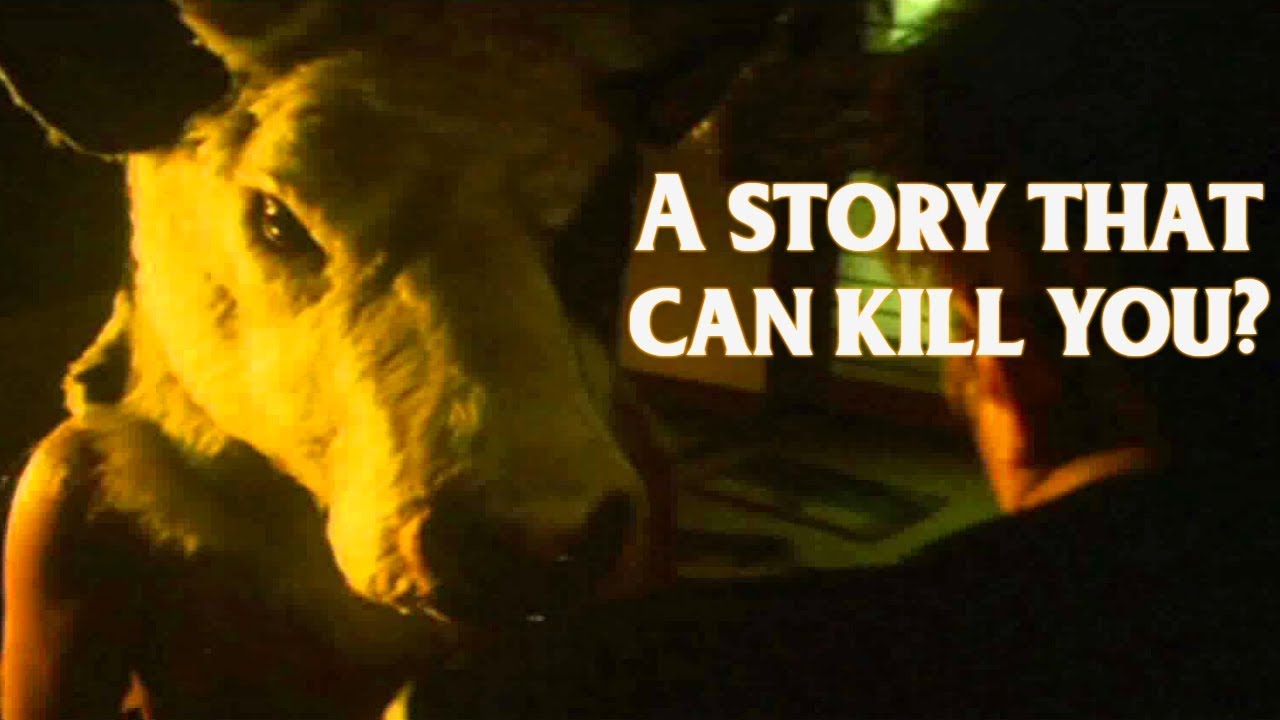 Cow Head The Death Story? YouTube