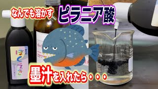 最恐の酸「ピラニア酸」に墨汁を入れたら衝撃すぎる結果が・・・　#Shorts piranha solution