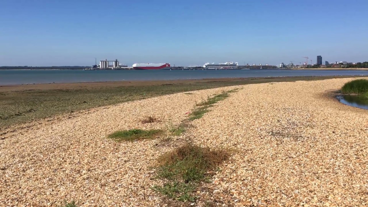 A Summer Stroll on Weston Shore