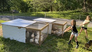 The Best Small Chicken Tractor For Our Homestead